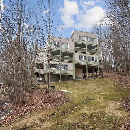 Mountainside Condo E101